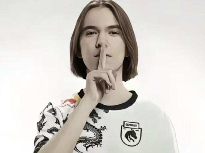 功能无冲突